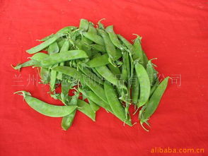 兰州贯党农副产品 连接田间与餐桌的匠心桥梁