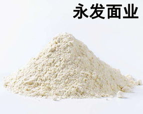 河北谷朊粉厂家创新工艺 新茂农副食品引领谷朊粉发酵法应用与农副产品销售新篇章